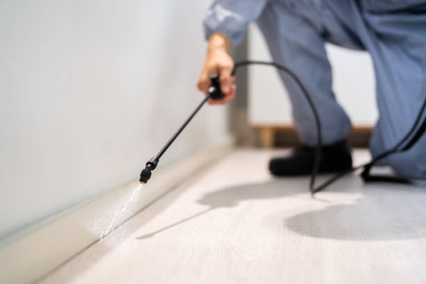 Licensed Pest Control service in Blanchester, OH - Show Me Pest Control