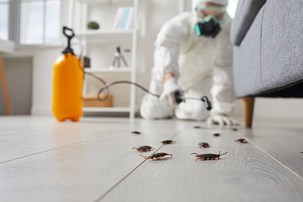 Post-Treatment Bed Bug Interceptor Monitoring in Blanchester