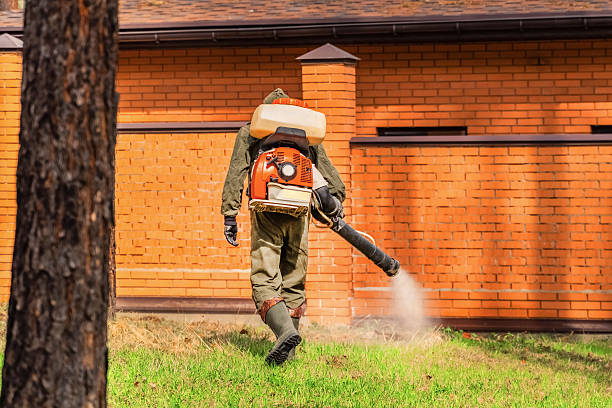 Bed Bug Clearance Verification and Documentation in Blanchester
